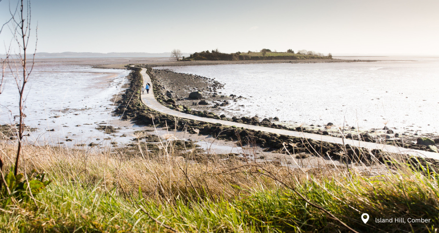 Island Hill near Comber